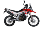 DELTA DS2 250 cc 1404